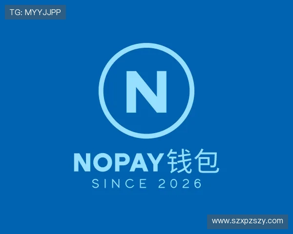 发现NOPAY钱包